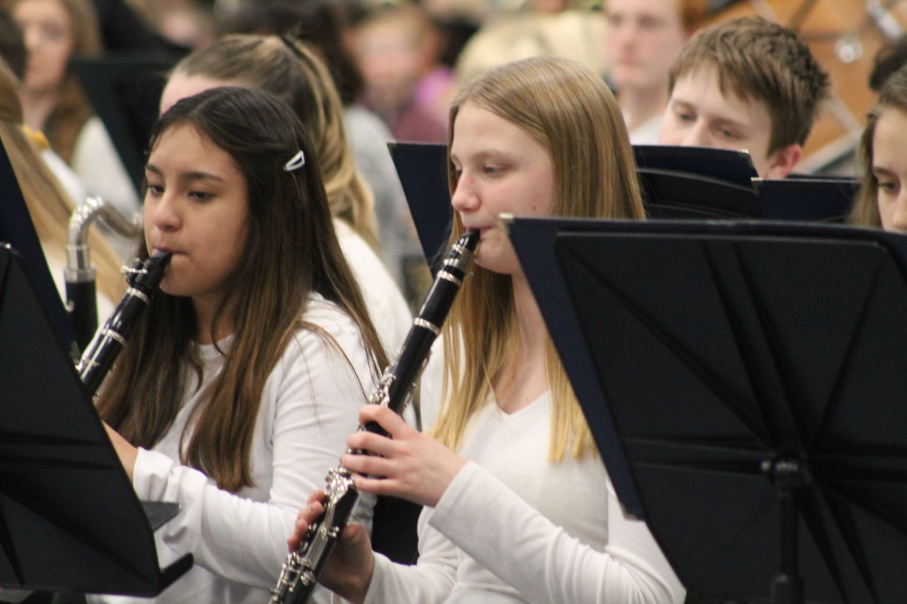 Parade of Bands 35